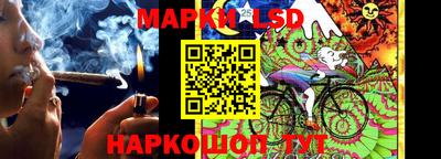 гидропоника Славгород