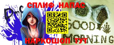 гидропоника Славгород