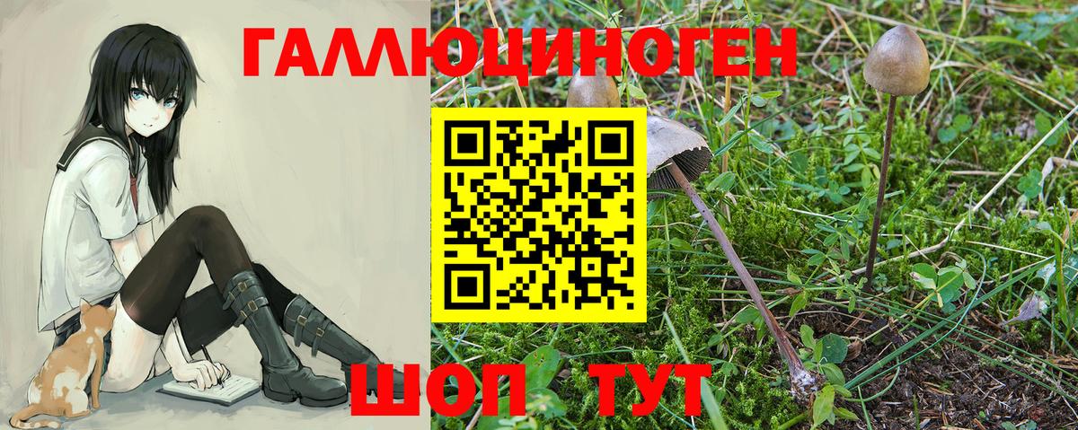 Галлюциногенные грибы MAGIC MUSHROOMS Ярославль